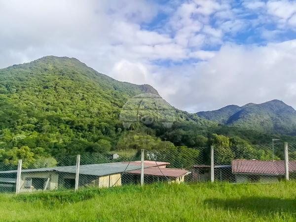 Chácara à venda em Roça velha, São josé dos pinhais cod:150582 - Foto 2