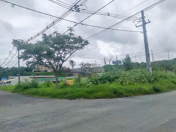 Terreno à venda em Atuba, Curitiba cod:152877 - Foto 7