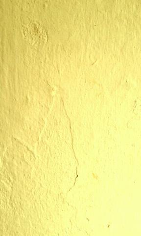 Vamos deixar a casa nova? Para quem sabe que sua casa tem estar bela - Foto 3