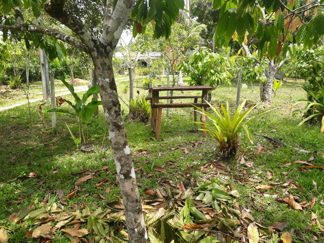Vende-se ou Aluga-se quiosque no distrito de Cachoeira do Tremembé - Foto 12