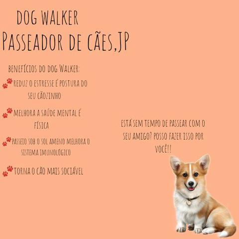 Passeador de cães,JP - Foto 2