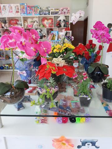 Vendo Floricultura - Foto 9