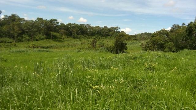 Fazenda formada, 200 hectares 100% asfaltoa Cuiabá, na BR - Foto 6