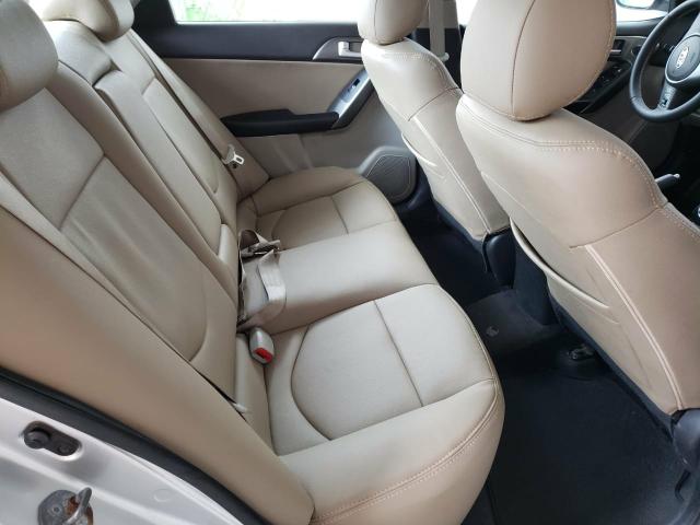Cerato para pessoas exigentes