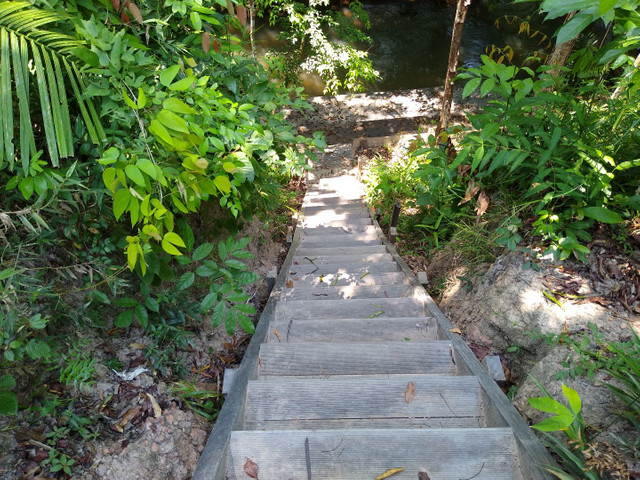 Terreno com igarapé - Foto 6