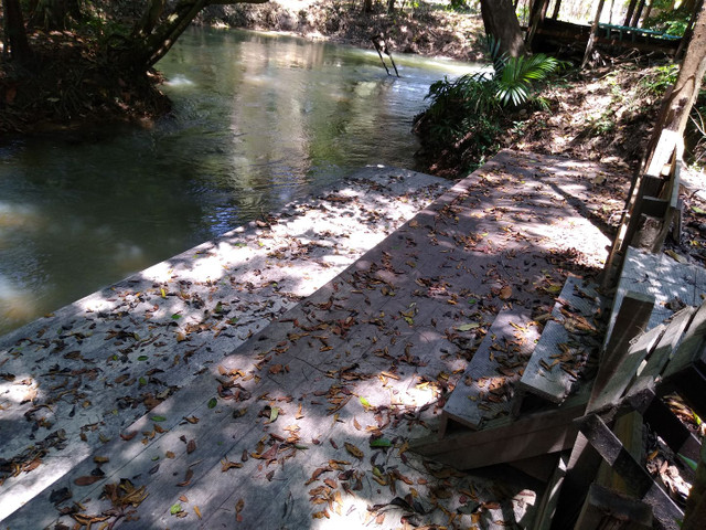 Terreno com igarapé - Foto 7