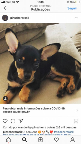 Procuro