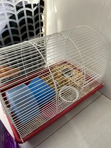 Hamster com a gaiola junto !!
