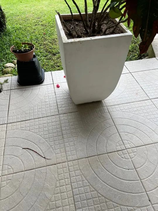 Quatro vasos de planta em - Foto 4