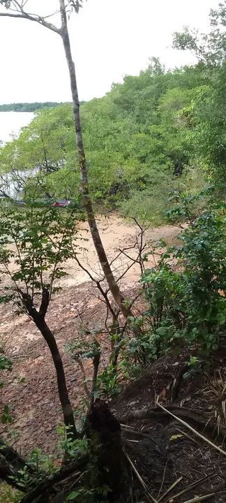 Ilha Particular para progeto de apicultura,eventos,e outros... - Foto 3