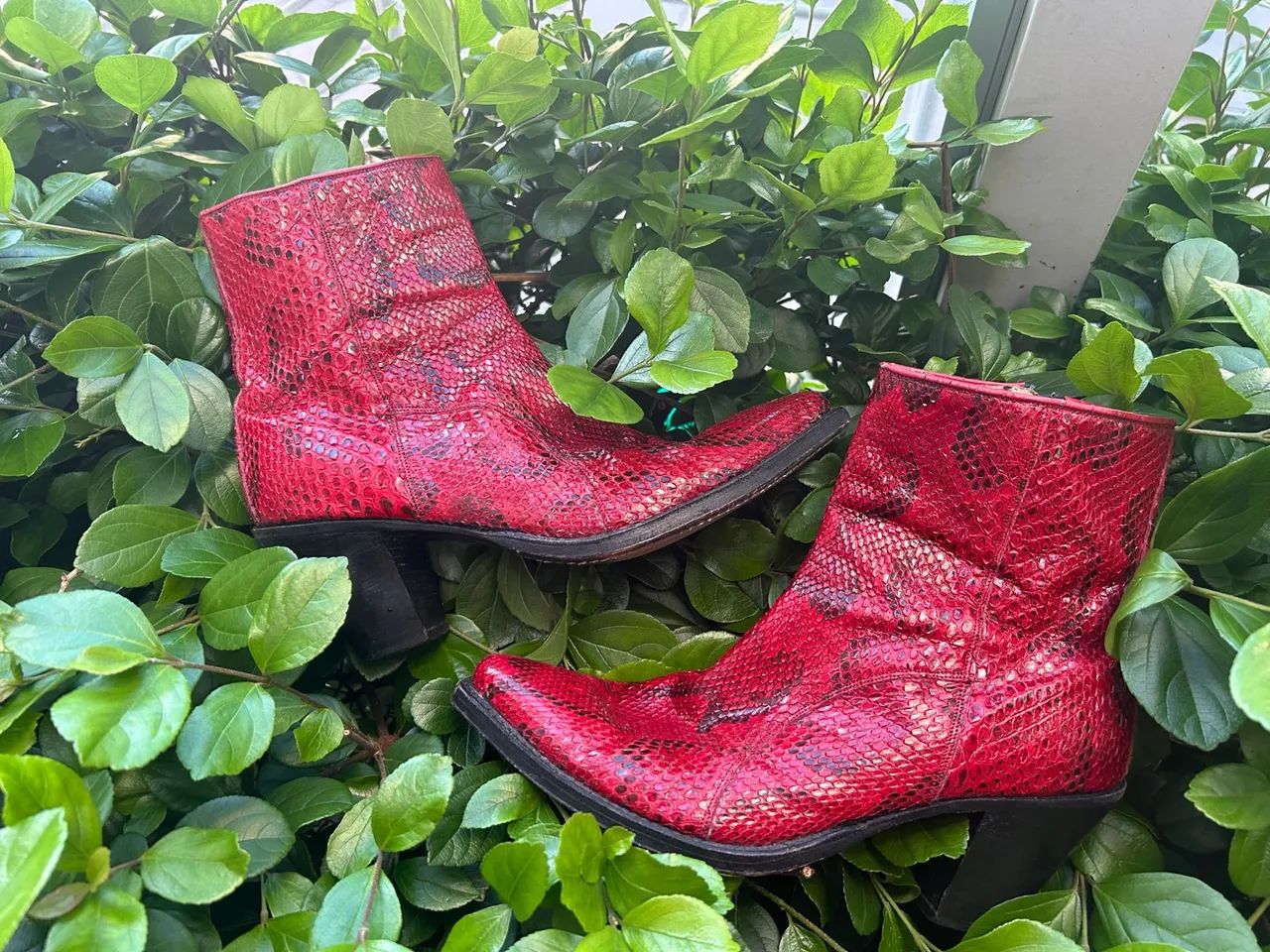 Bota Tony Mora phyton 38 