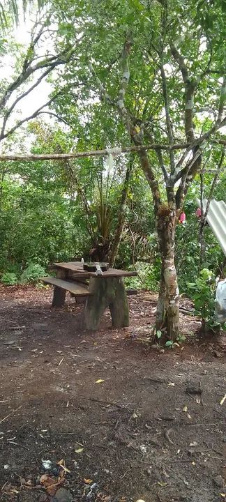 Ilha Particular para progeto de apicultura,eventos,e outros... - Foto 2