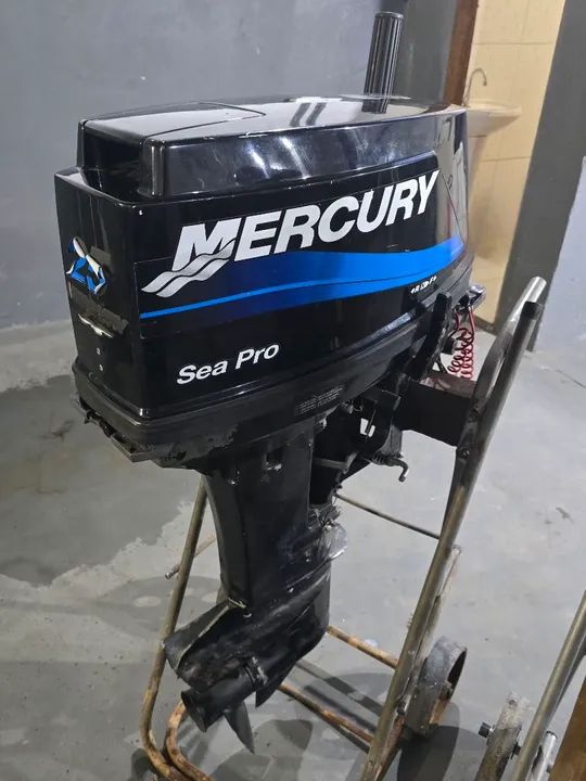 Motor de Popa Mercury 25hp sea Pro ano 2005