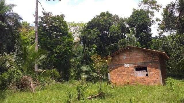 Terreno, 330.000m² em Vigia. - Foto 4