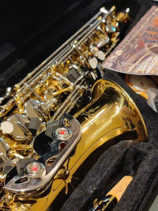 R$ 2.500,00 Sax Alto Saxofone Alto Novo Zero no Plástico Extraordinário - Foto 5