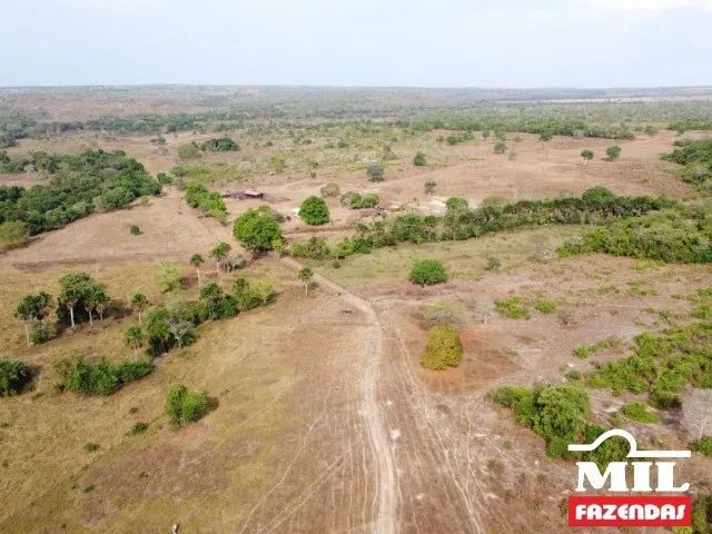 Fazenda em Duerê-TO. 400 Alq. (1.936 Há). p/ Soja e Gado - Foto 2