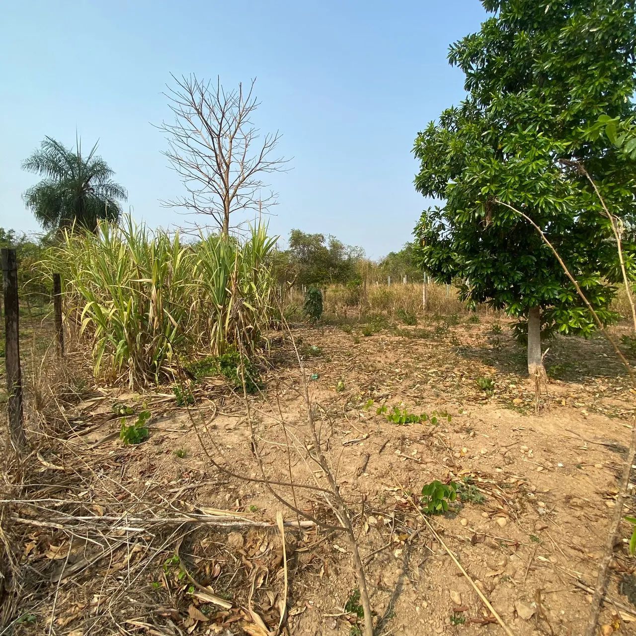 Condomínio de Chácaras dos amigos/Bairro Nova Esperança - Cuiabá - MT - Foto 5