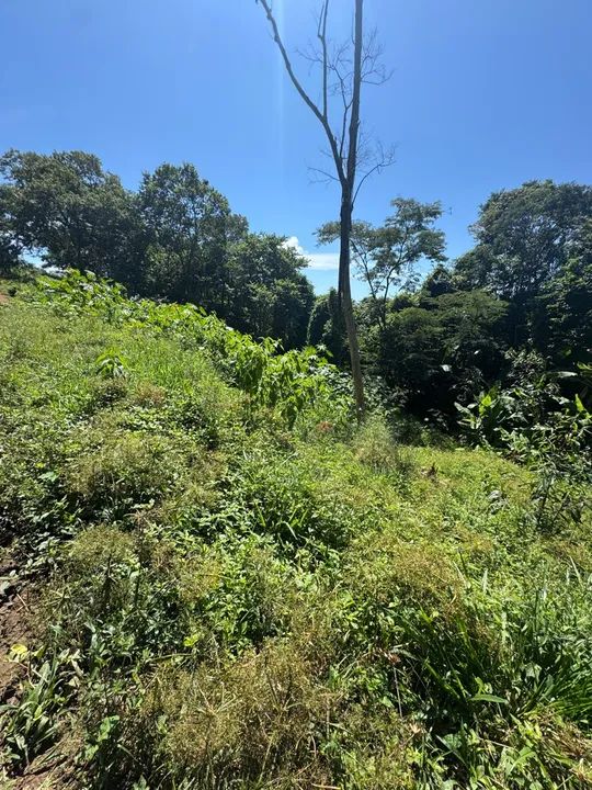 Sítio com vista espetacular para as montanhas - Foto 4