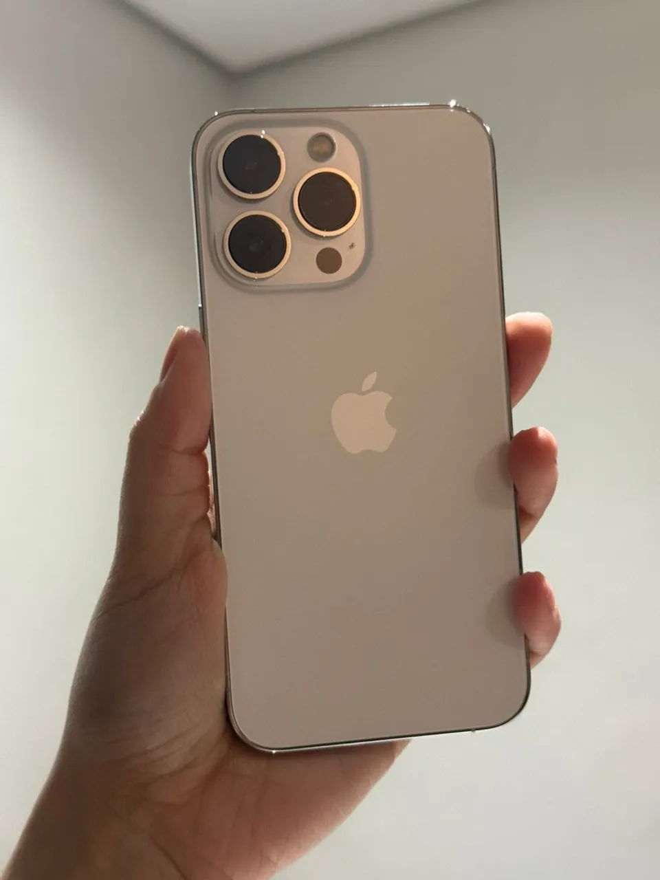 iPhone 13 Pro 256GB Silver (Branco) Loja Física