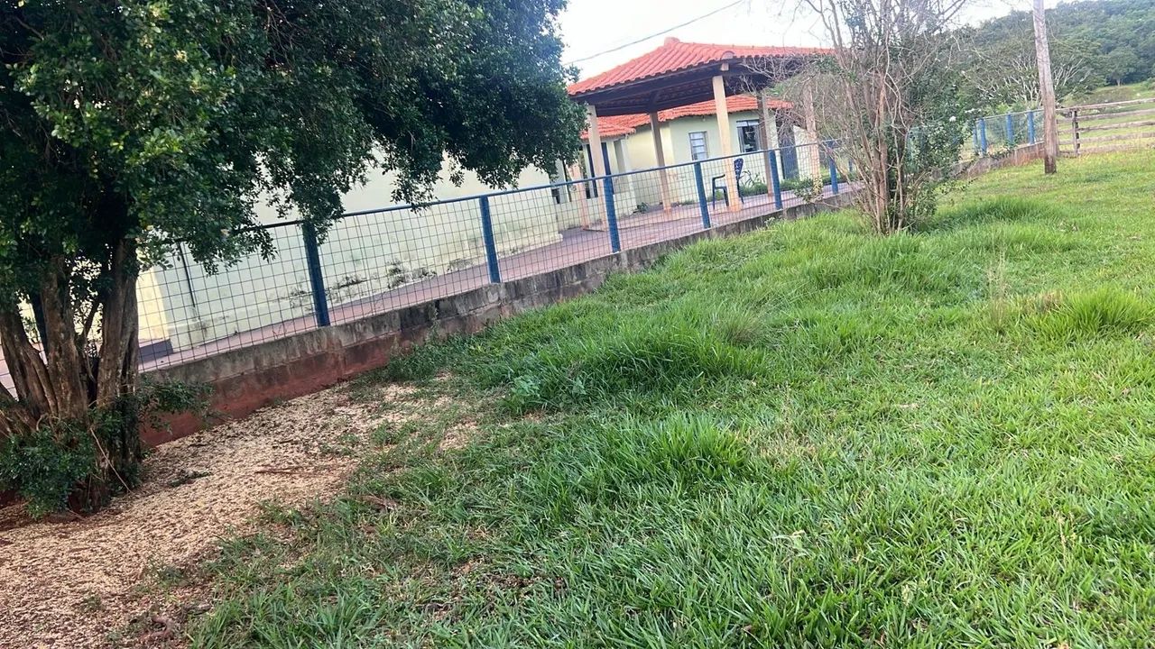 Fazenda dupla aptidão Gurinhata  - Foto 4