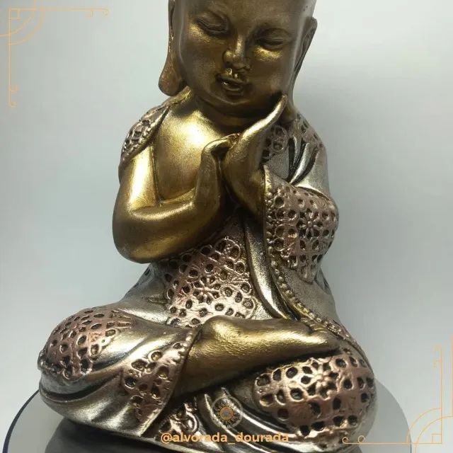 Buda Baby Paz Interior - Foto 5