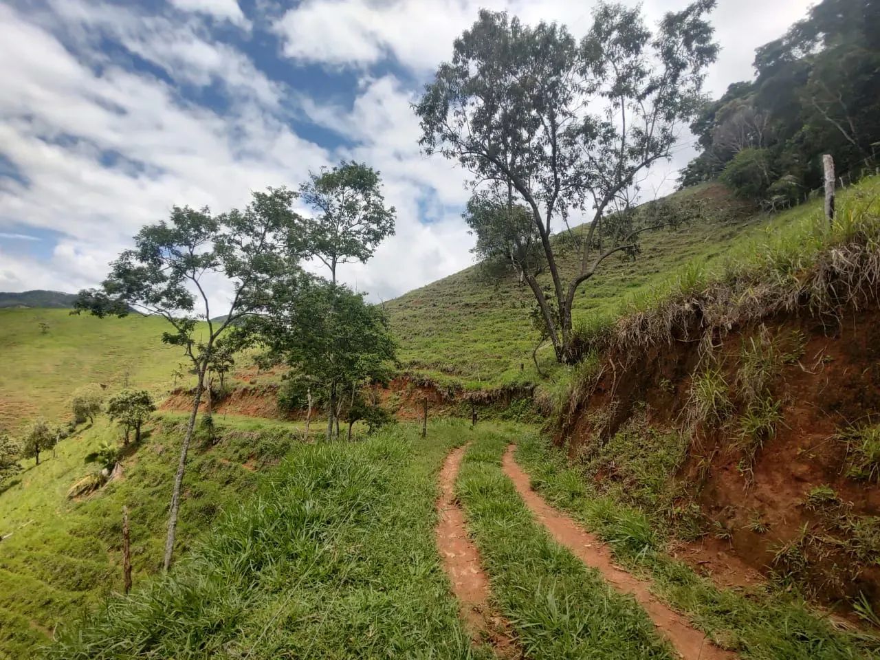 Sítio em Pedra Mulata, Viana. - Foto 6