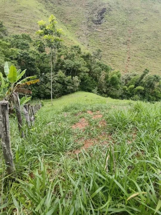 Sítio em Pedra Mulata, Viana. - Foto 5
