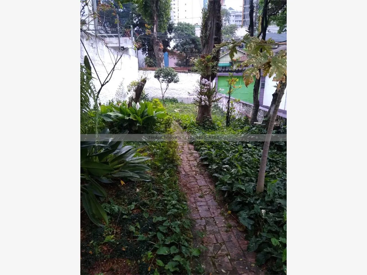 Terreno - Jardim - Santo Andre - Sao Paulo | Ref.: 31131 - Foto 5