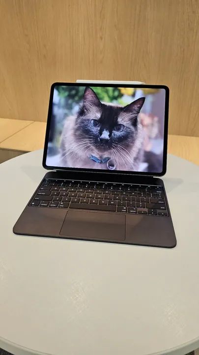 iPad Pro 13" (M4) -na garantia com teclado, capa e caneta