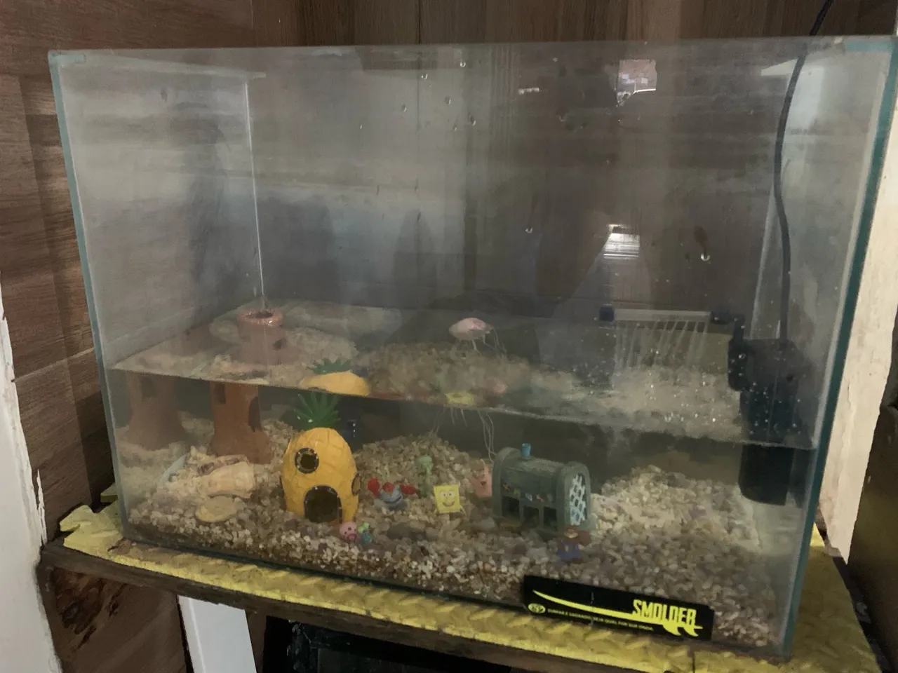 Aquário para Peixes com Decoração 60L