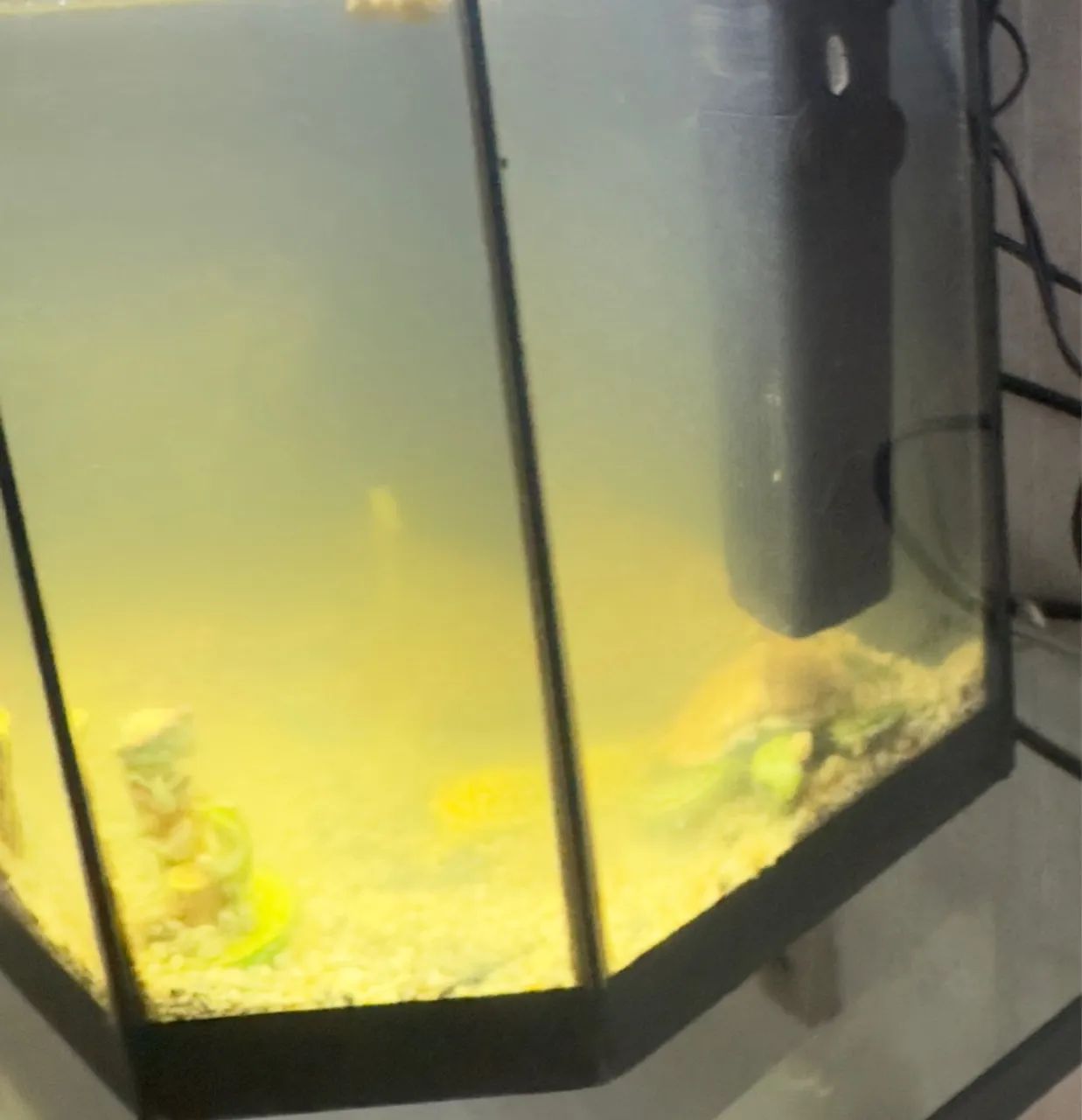 Aquário com bomba 10L enfeites Bob esponja com led - Foto 4