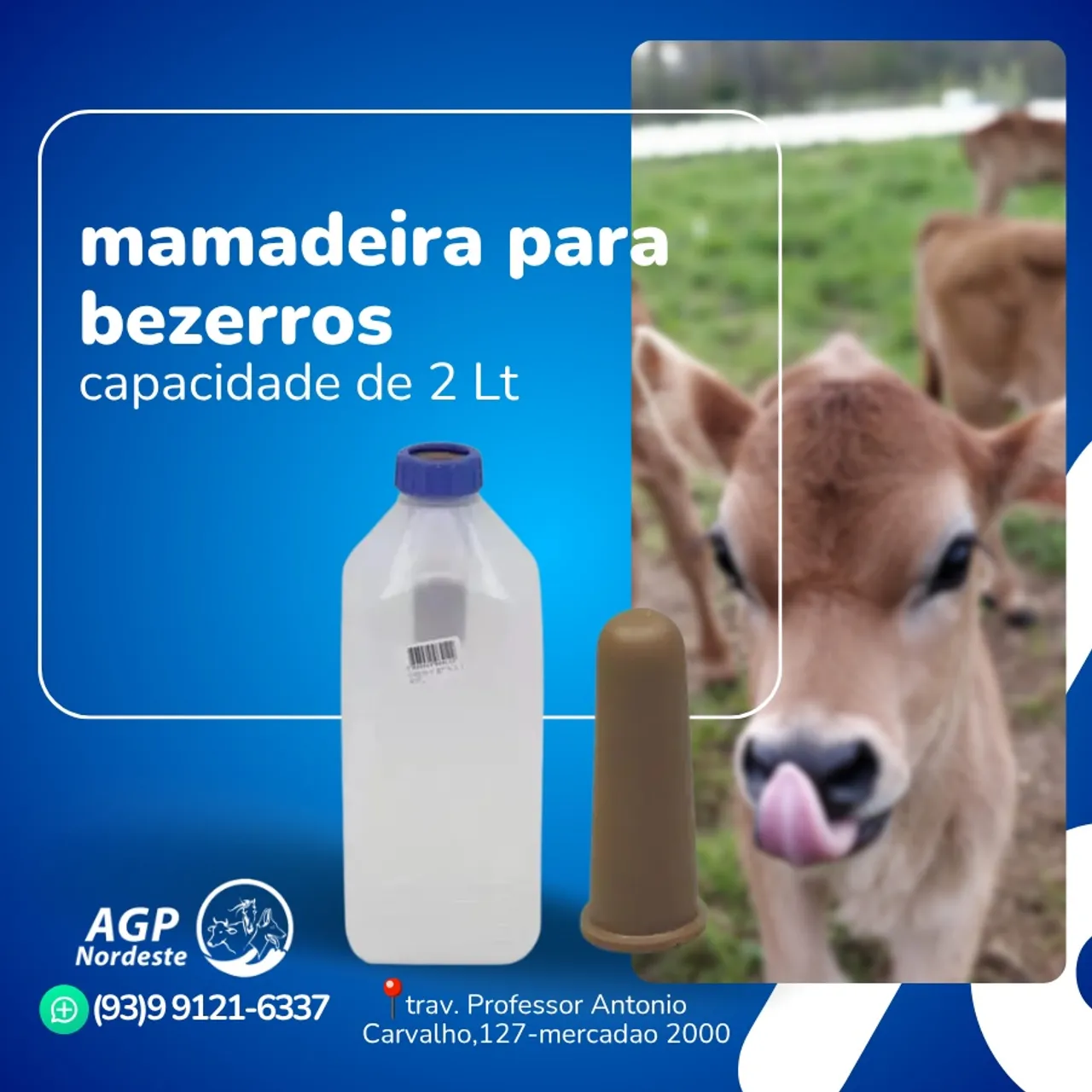 Mamadeira para bezerros 2L