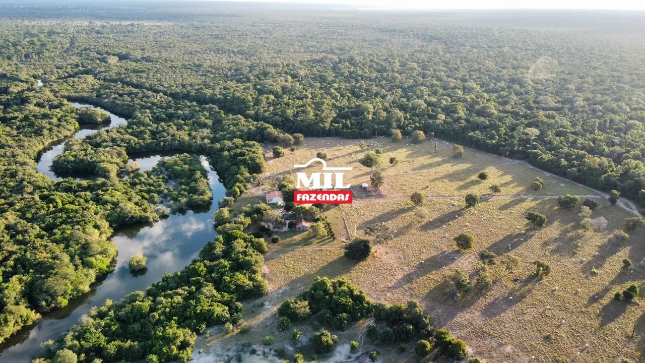 Fazenda 442 Alq. (2.139 Há) Cocalinho-MT - Foto 4