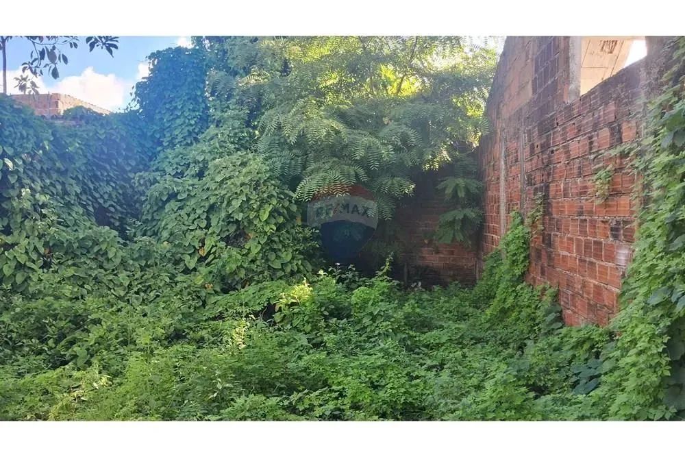 VENDO UM EXCELENTE TERRENO NASCENTE EM CAMPO GRANDE . - Foto 4