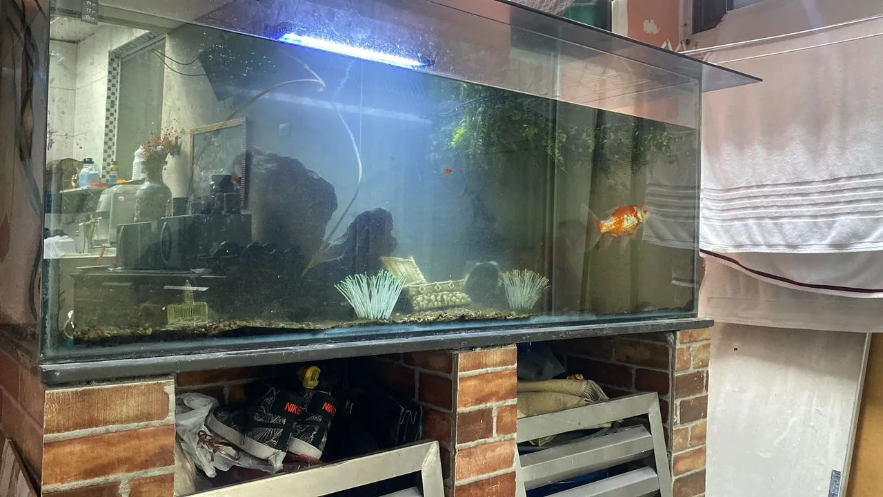 Aquário com peixes 2700 - Foto 4