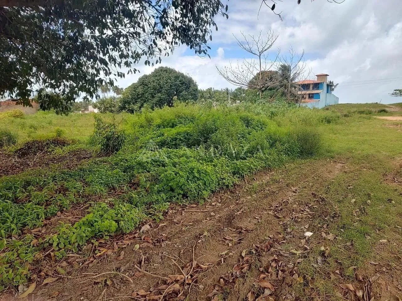 Terreno a 80 metros da Praia! - Foto 3