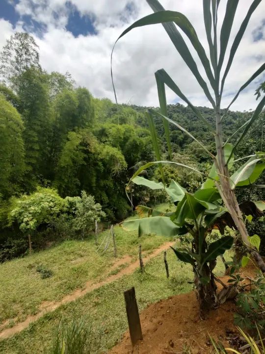 Sítio em Pedra Mulata, Viana. - Foto 10