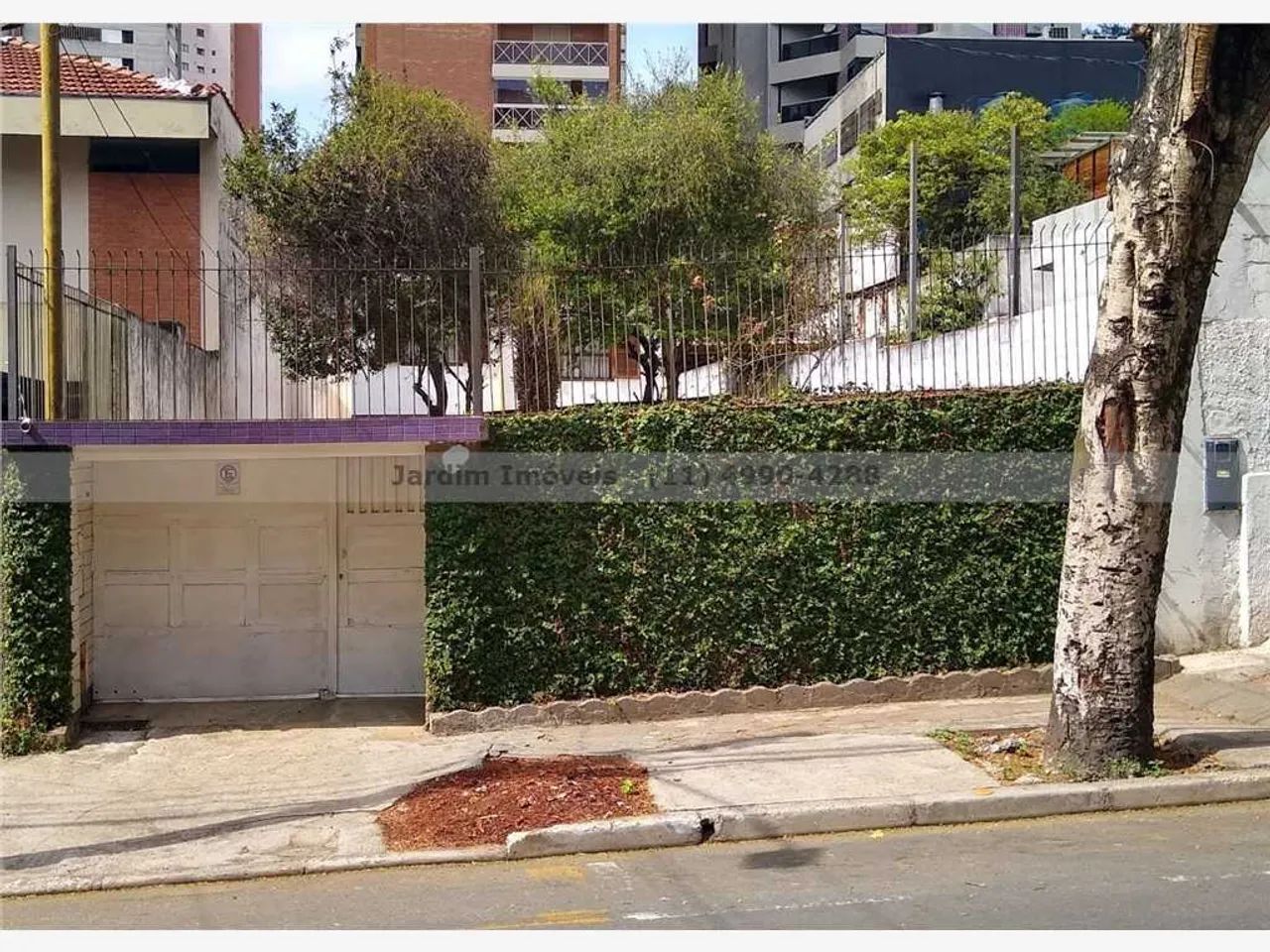 Terreno - Jardim - Santo Andre - Sao Paulo | Ref.: 31131