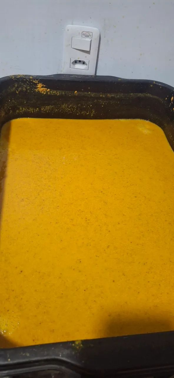 Polpas de taperebá  - Foto 2
