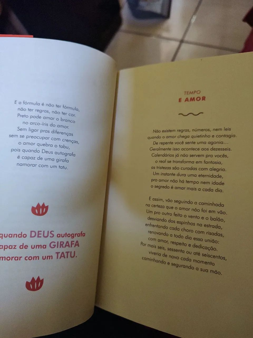 Livro do Raphadura - Foto 3