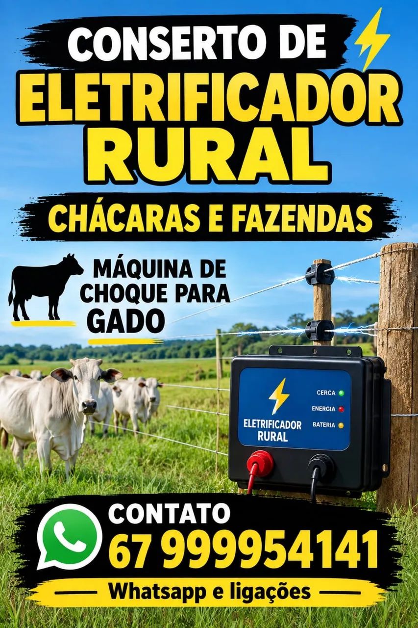 Conserto de Eletrificador rural aparelho pra gado