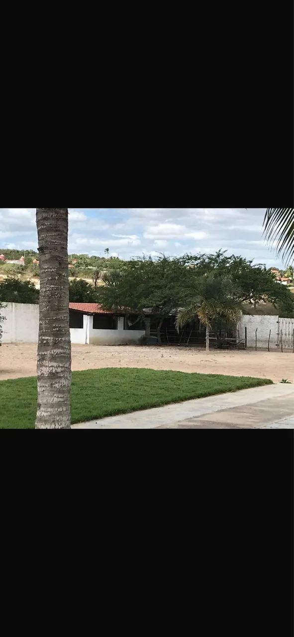 Chácara Conceição do coite  - Foto 5