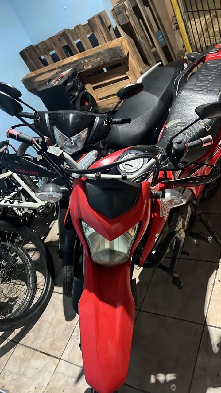 Bros 2019 