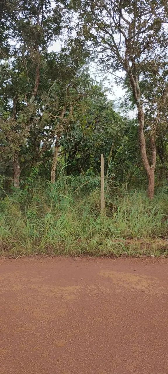 Chácara em Silvânia -Goiás  - Foto 4