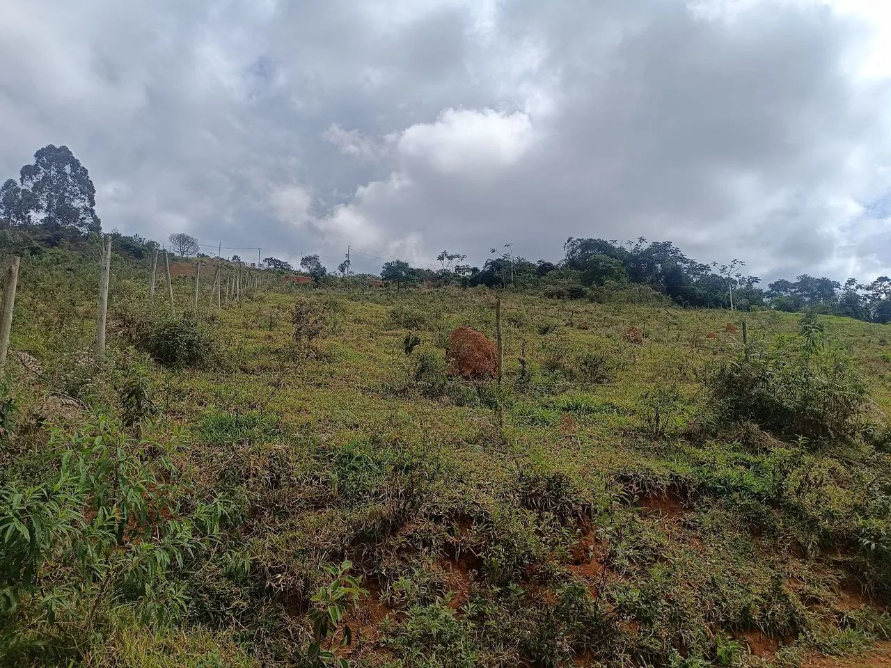Granja Em Ewbank da Câmara. - Foto 2