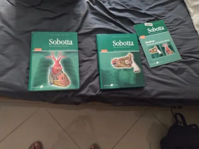 Sobotta 23 edição - Foto 2