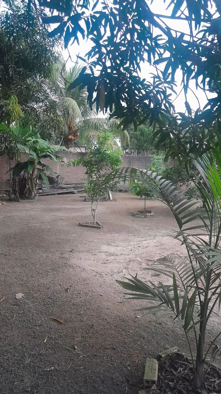 Vendo casa.  - Foto 5