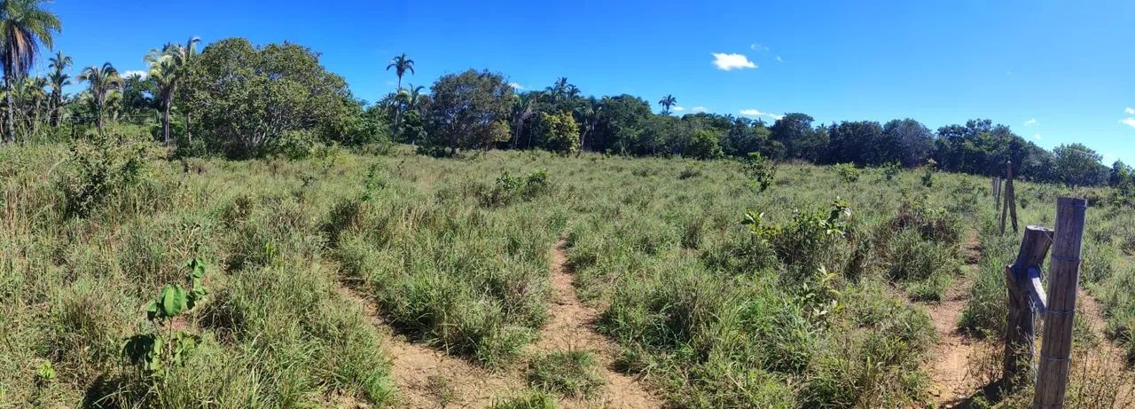 Fazenda 21 Hectares  - Foto 4