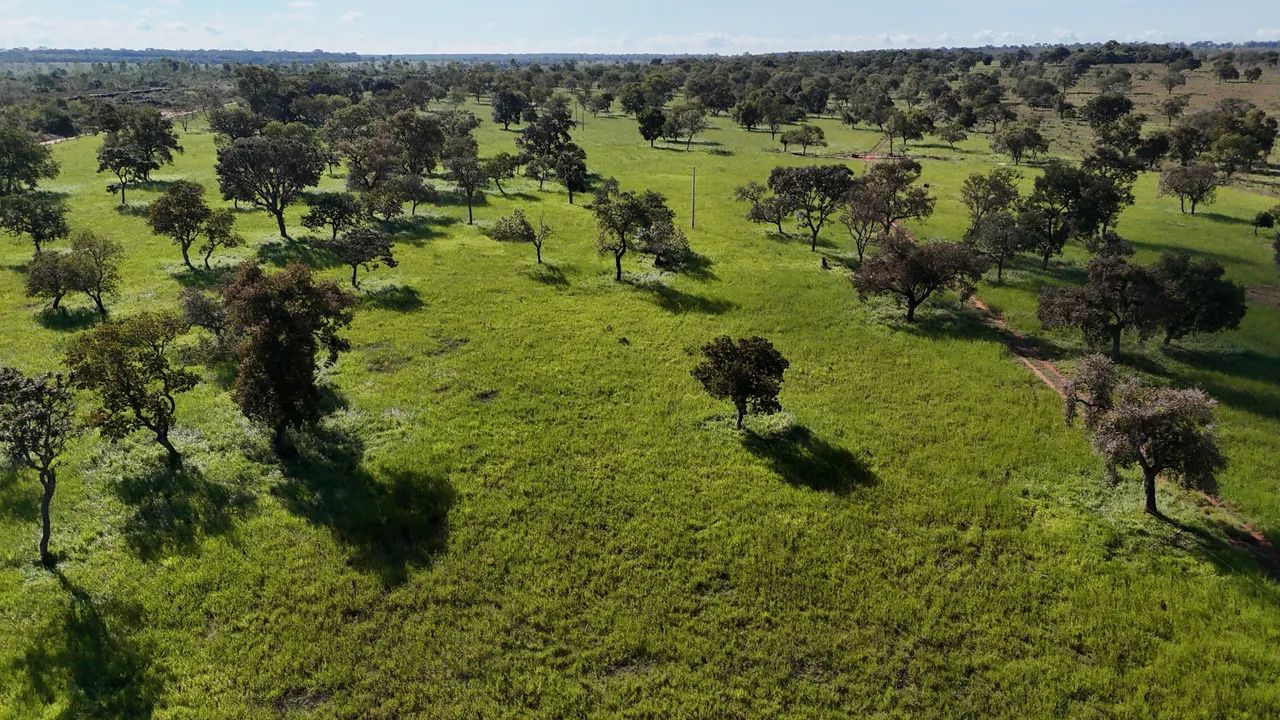 Sítio 37,62 Hectares Três Lagoas MS - Foto 5