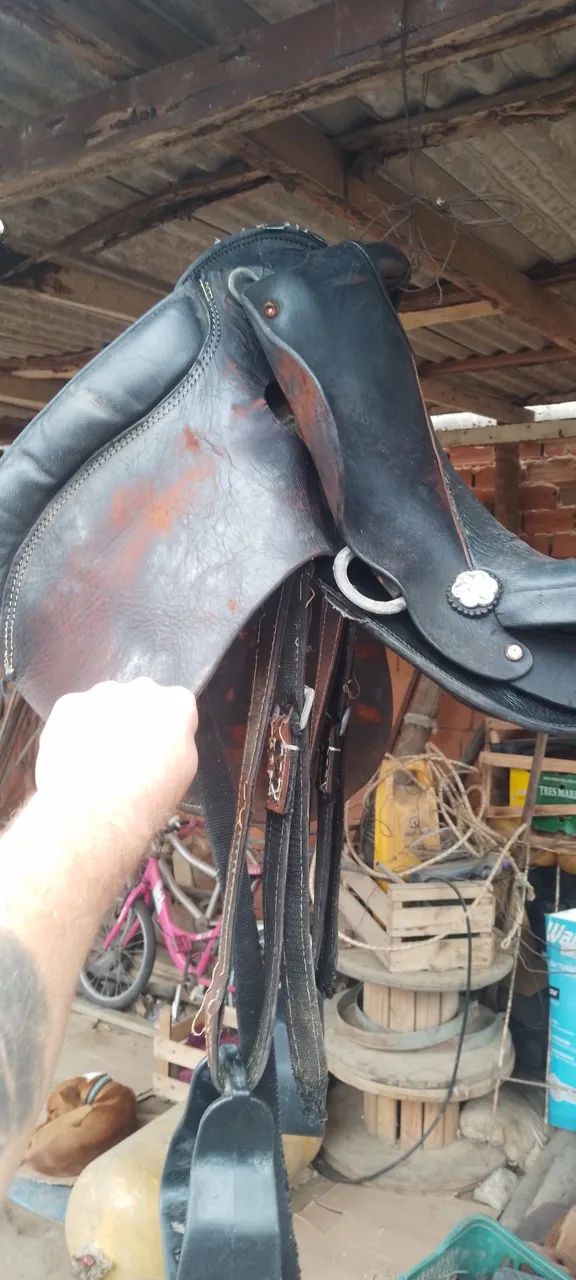 Cela para cavalo - Foto 4